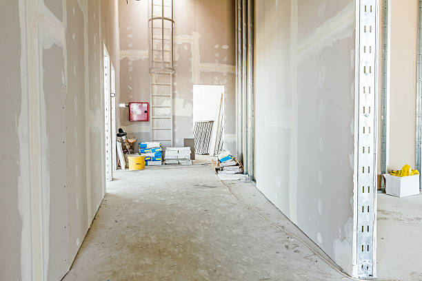 Best Mold Prevention Services  in Ackley, IA